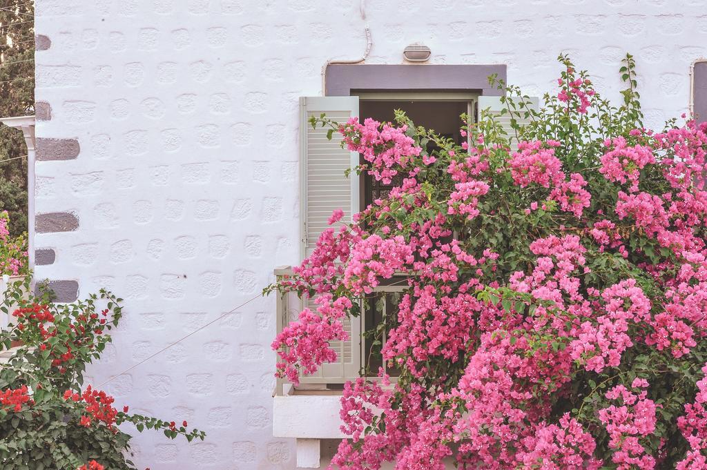 Patmos Villas Грикос Экстерьер фото